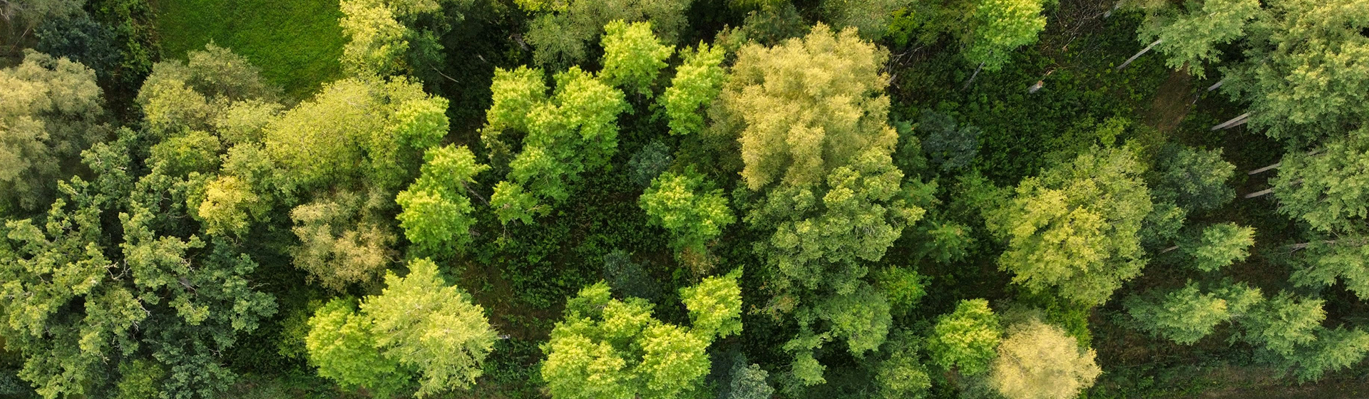 SustainableDevelopment 太阳城官网·tyc(中国集团)有限公司