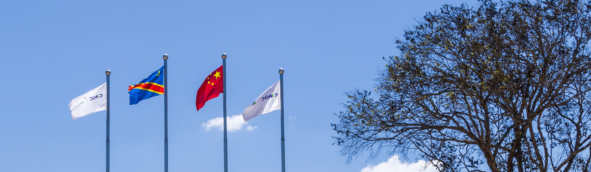 ̫���ǹ�����tyc(�й�����)���޹�˾