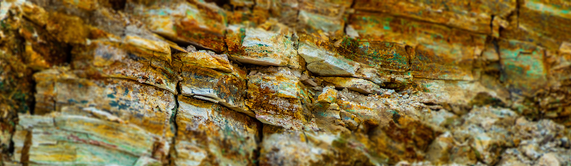 ̫���ǹ�����tyc(�й�����)���޹�˾