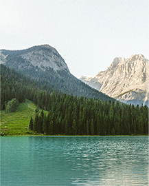 ̫���ǹ�����tyc(�й�����)���޹�˾