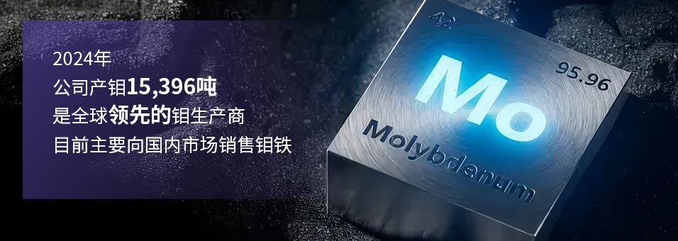 ̫���ǹ�����tyc(�й�����)���޹�˾