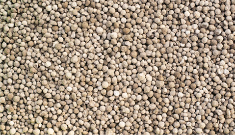 ̫���ǹ�����tyc(�й�����)���޹�˾