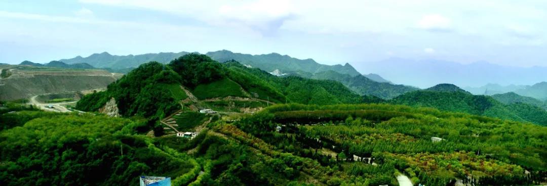 20210907014513435 Ì«Ñô³Ç¹ÙÍø¡¤tyc(Öйú¼¯ÍÅ)ÓÐÏÞ¹«Ë¾