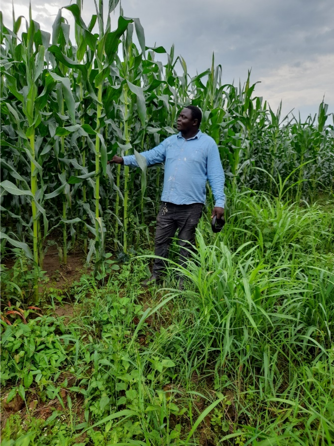 ̫���ǹ�����tyc(�й�����)���޹�˾