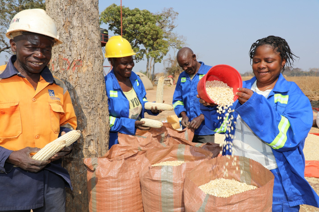 ̫���ǹ�����tyc(�й�����)���޹�˾