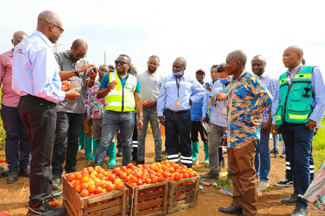 20230322042634747 Ì«Ñô³Ç¹ÙÍø¡¤tyc(Öйú¼¯ÍÅ)ÓÐÏÞ¹«Ë¾