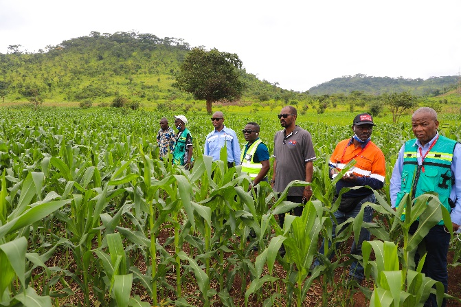 20230322042744744 Ì«Ñô³Ç¹ÙÍø¡¤tyc(Öйú¼¯ÍÅ)ÓÐÏÞ¹«Ë¾