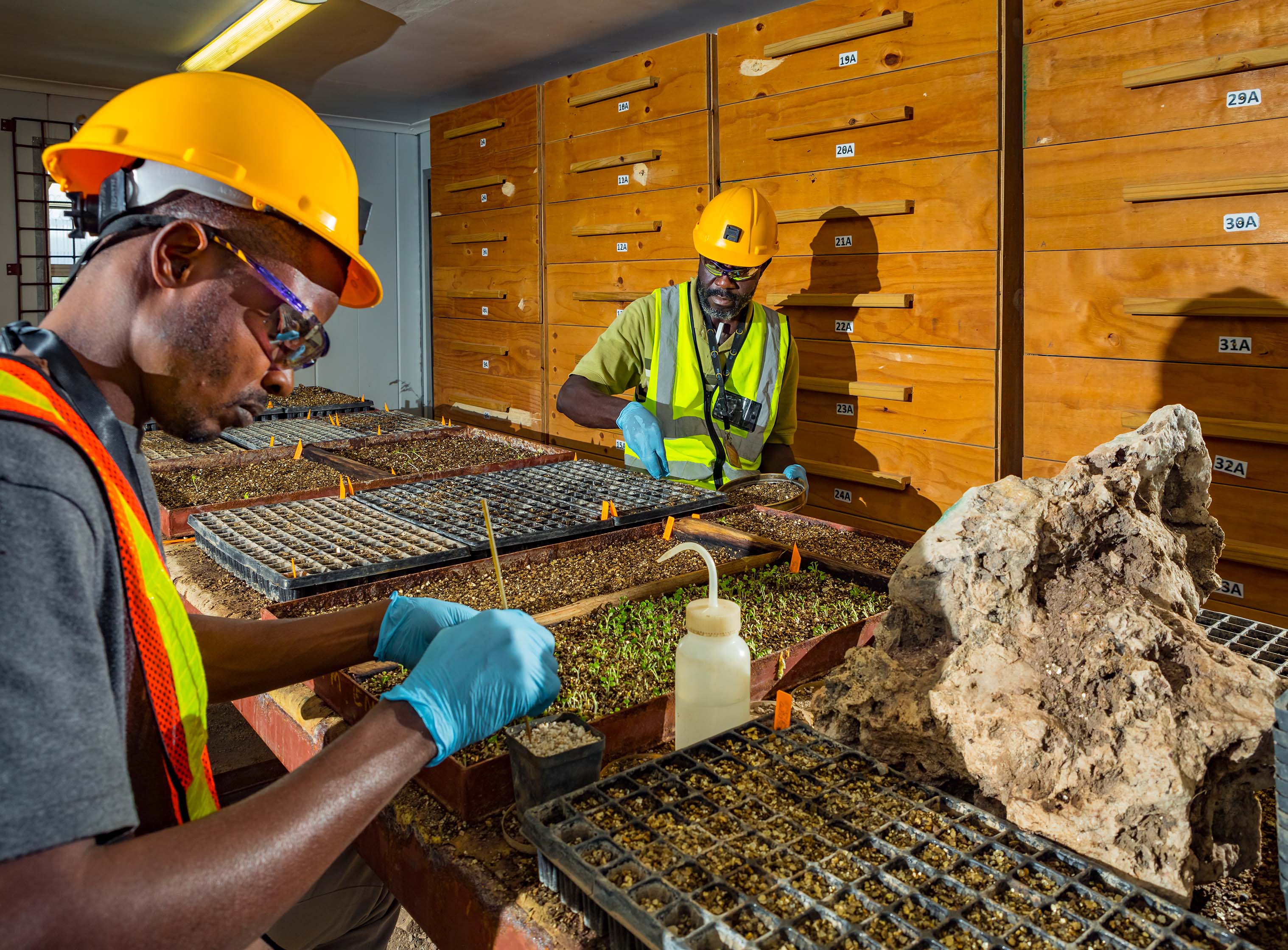 ̫���ǹ�����tyc(�й�����)���޹�˾