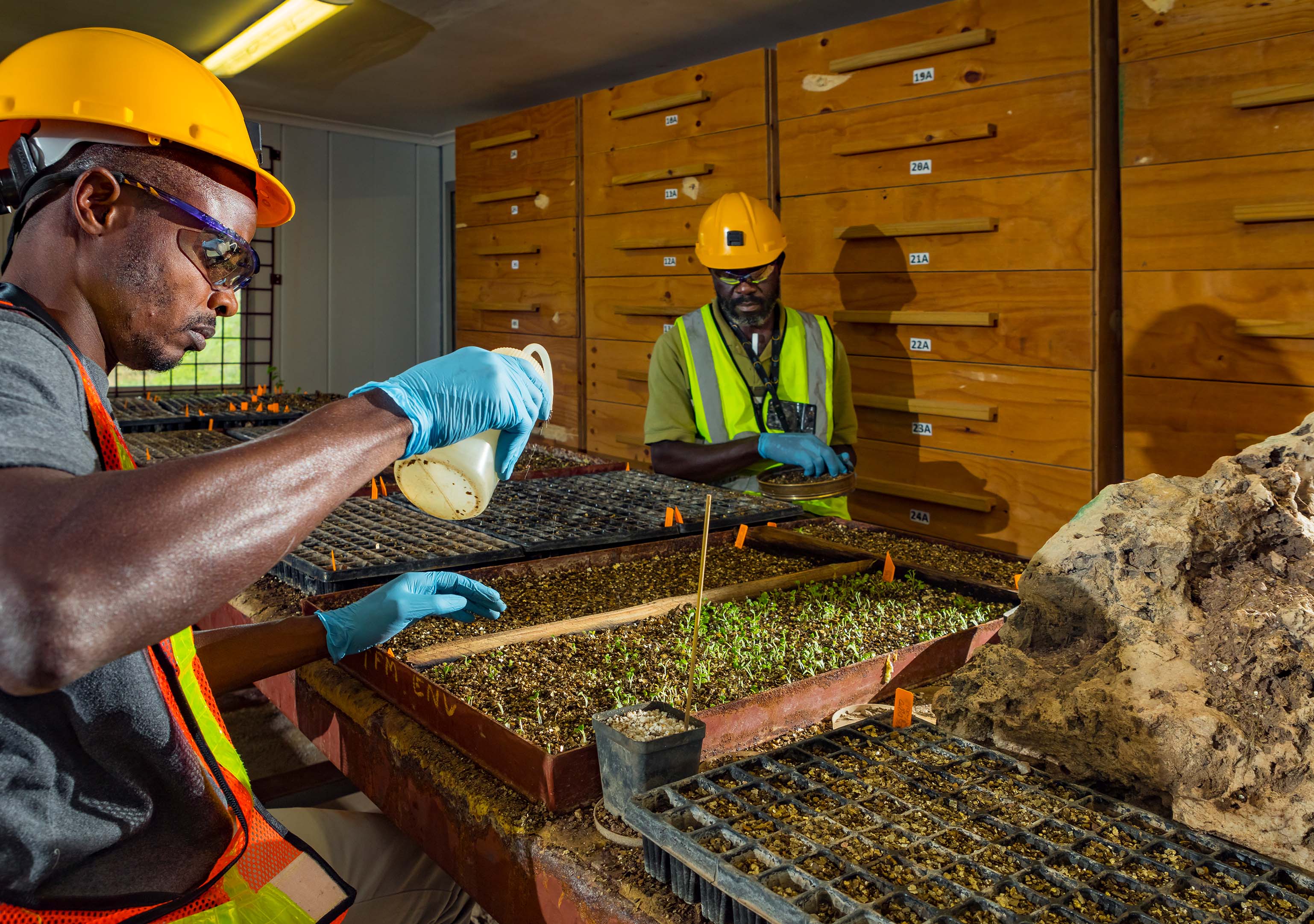 ̫���ǹ�����tyc(�й�����)���޹�˾