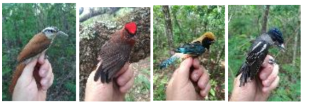 ̫���ǹ�����tyc(�й�����)���޹�˾