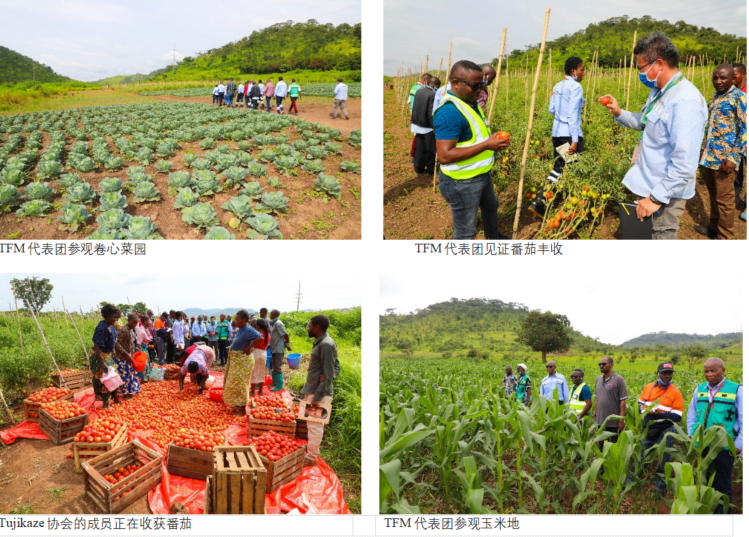 20230528113013151 Ì«Ñô³Ç¹ÙÍø¡¤tyc(Öйú¼¯ÍÅ)ÓÐÏÞ¹«Ë¾