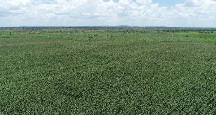 20230620065003810 太阳城官网·tyc(中国集团)有限公司