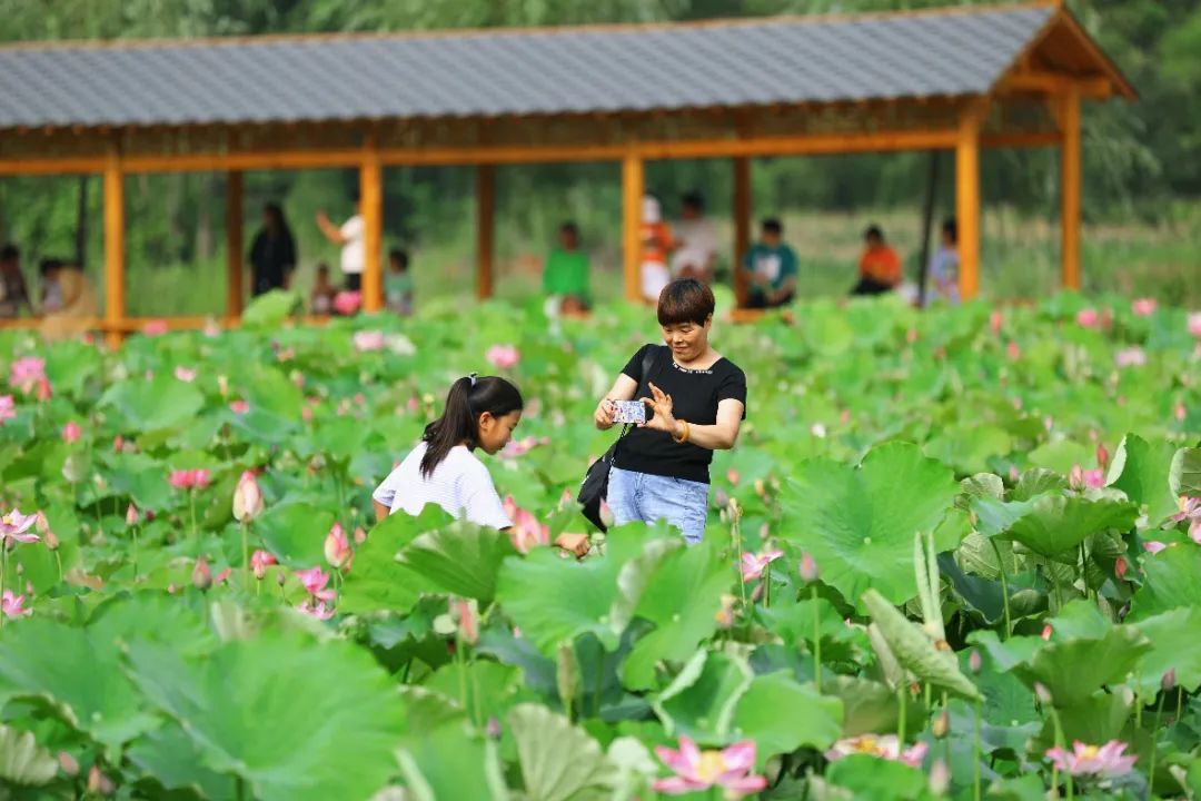 20231109113131771 太阳城官网·tyc(中国集团)有限公司