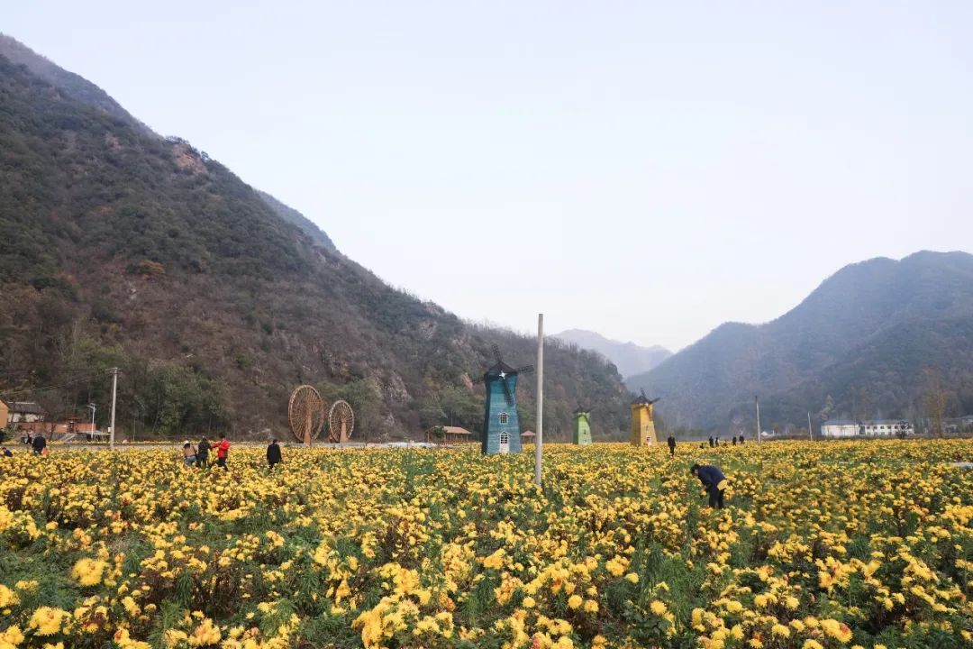 20231109113246622 太阳城官网·tyc(中国集团)有限公司