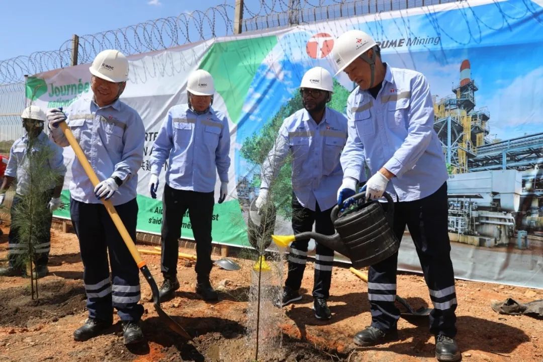 ̫���ǹ�����tyc(�й�����)���޹�˾