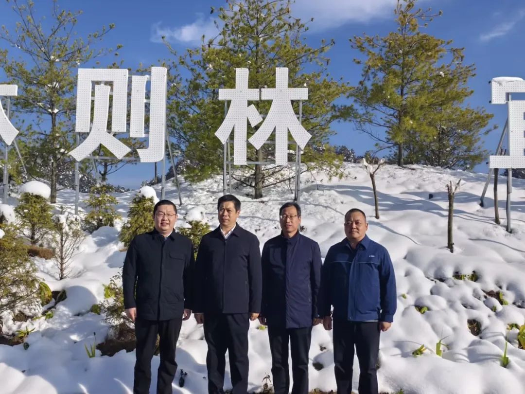 20241212094450233 Ì«Ñô³Ç¹ÙÍø¡¤tyc(Öйú¼¯ÍÅ)ÓÐÏÞ¹«Ë¾