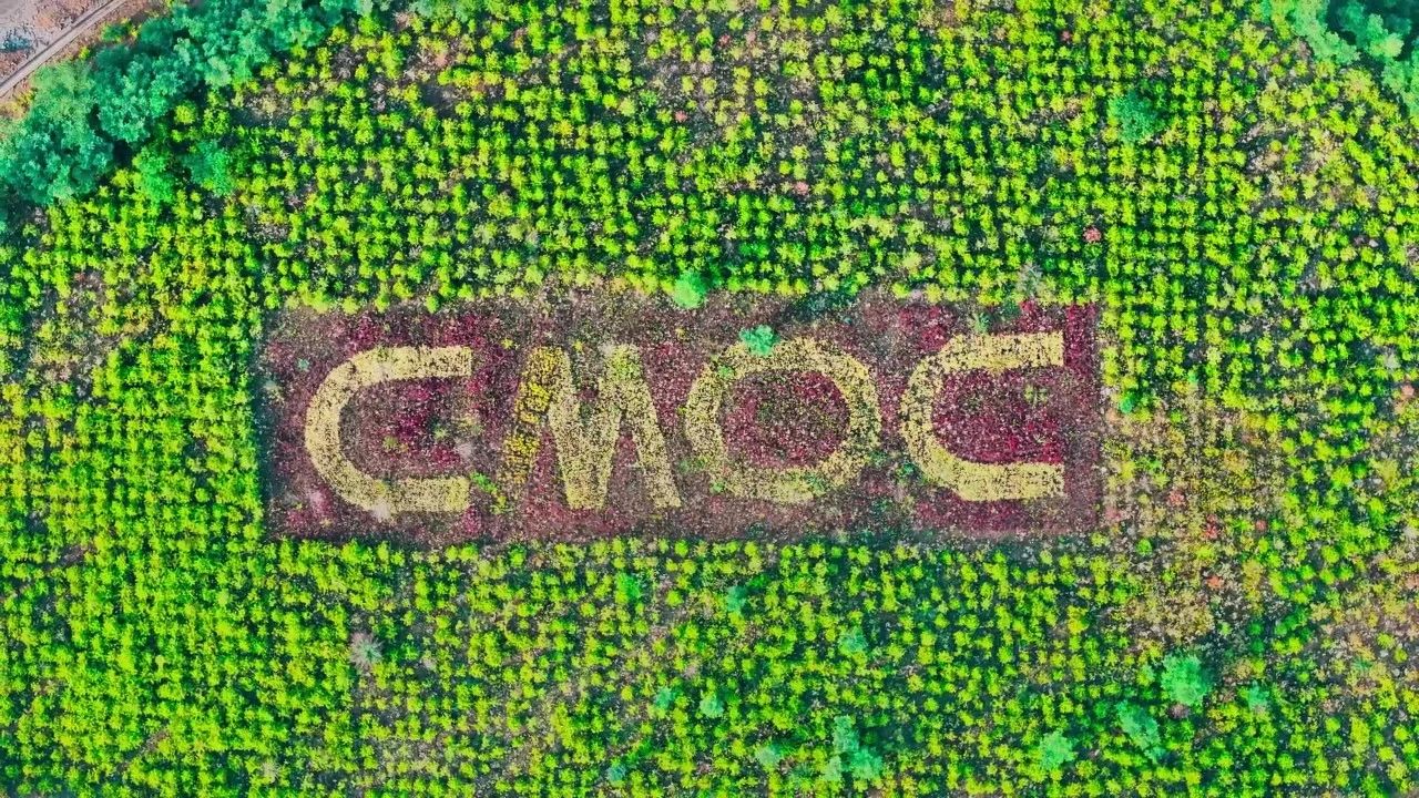 20250110045500622 Ì«Ñô³Ç¹ÙÍø¡¤tyc(Öйú¼¯ÍÅ)ÓÐÏÞ¹«Ë¾