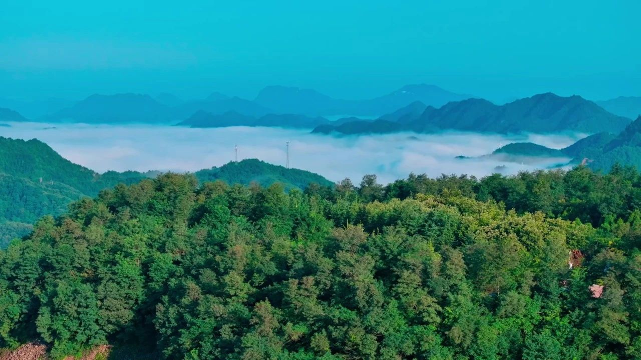 20250110045515609 Ì«Ñô³Ç¹ÙÍø¡¤tyc(Öйú¼¯ÍÅ)ÓÐÏÞ¹«Ë¾