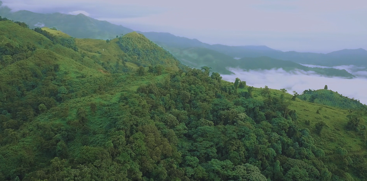 20250626120126748 Ì«Ñô³Ç¹ÙÍø¡¤tyc(Öйú¼¯ÍÅ)ÓÐÏÞ¹«Ë¾