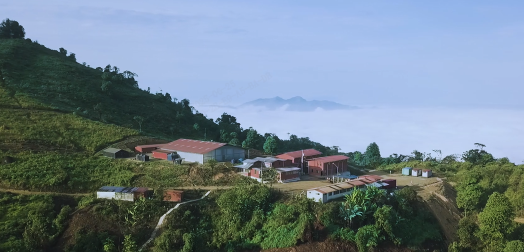 20250626120214148 Ì«Ñô³Ç¹ÙÍø¡¤tyc(Öйú¼¯ÍÅ)ÓÐÏÞ¹«Ë¾