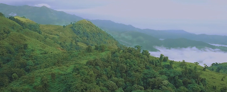 ̫���ǹ�����ɶԶ�϶�������˹���100%��Ȩ�Ľ��������ṹ���������ƽ���Դ